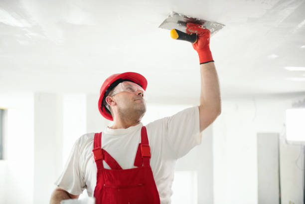 Best Eco-Friendly and Low-VOC Painting  in Orida Ridge, FL